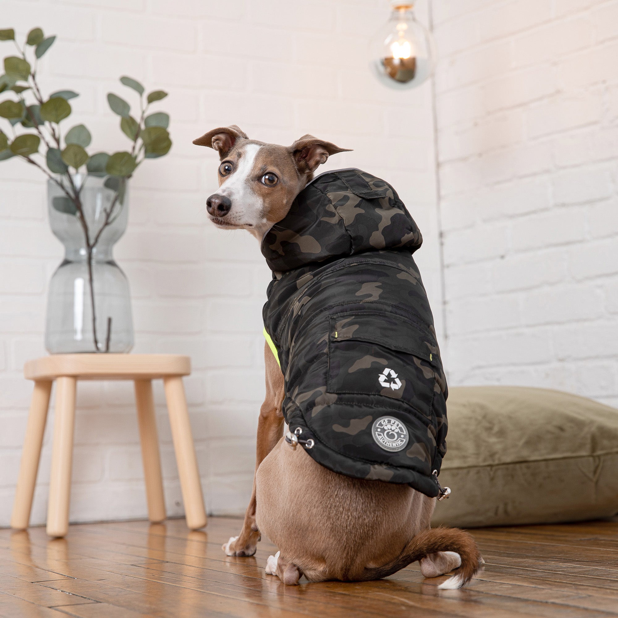 Beige Antigone recycled camouflage parka for pets, featuring durable fabric and stylish camouflage pattern.