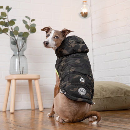 Beige Antigone recycled camouflage parka for pets, featuring durable fabric and stylish camouflage pattern.