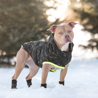 Beige Antigone recycled camouflage parka for pets, showcasing a stylish, eco-friendly petwear design with a camouflage pattern.