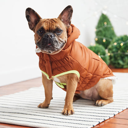 Beige Antigone The Puff Parka Hazel petwear, 2XL leash or collar accessory with soft, puffy fabric and stylish design.
