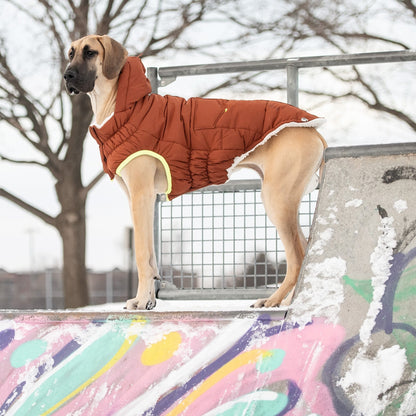Beige Antigone The Puff Parka Hazel pet coat in 2XL size, featuring a warm, puffy design for dogs.