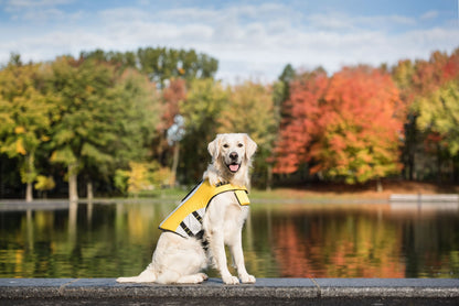 Yellow dog life vest from Beige Antigone designed for safety, with adjustable straps and buoyant material for swimming and water safety.