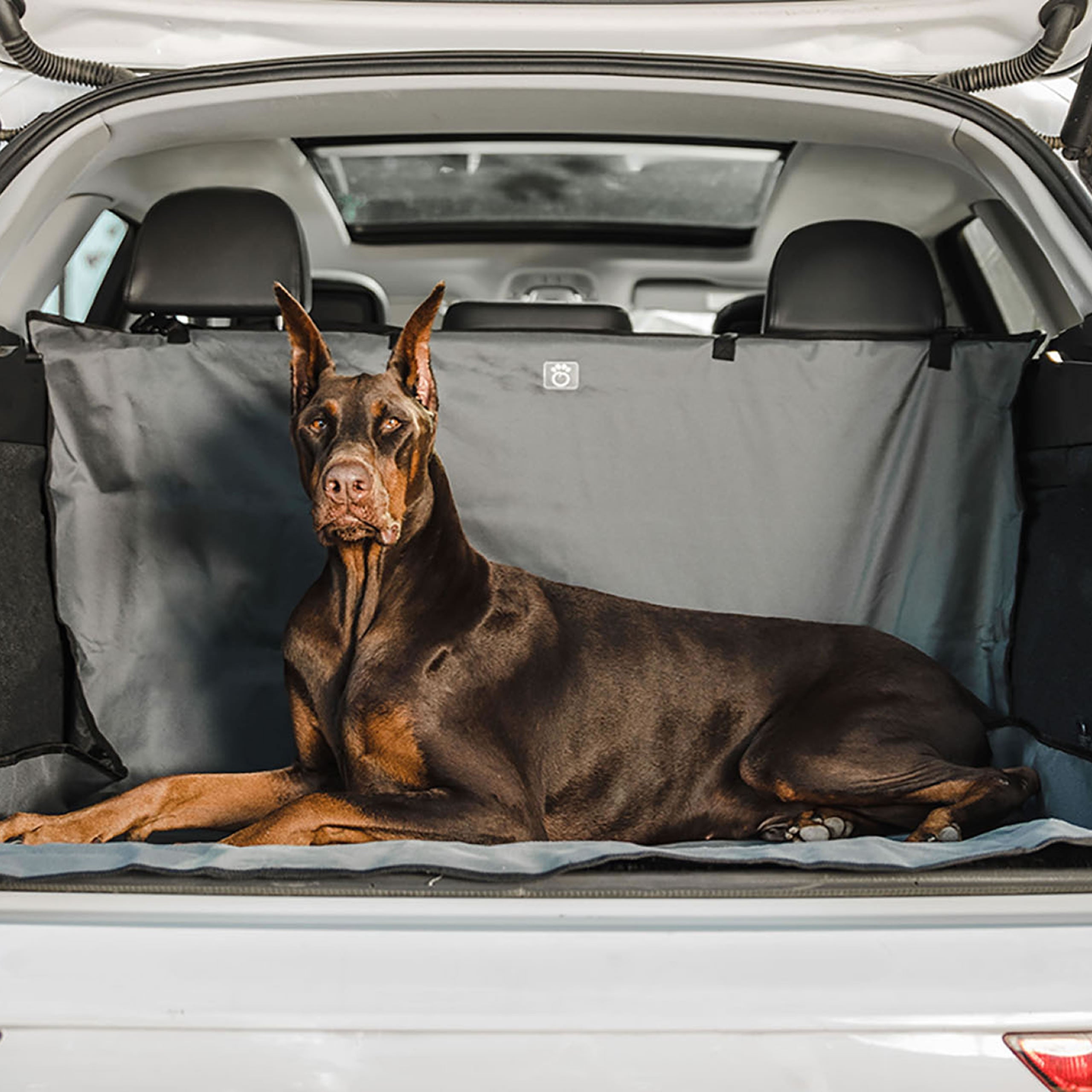 Beige Antigone pet cargo cover for cars, protecting seats and securing pets during travel, shown in a car interior.