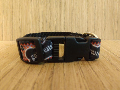 Green Thalassa small pet collar with "Got Treats?" tag, adjustable leash and collar set for dogs or cats, in vibrant colors.