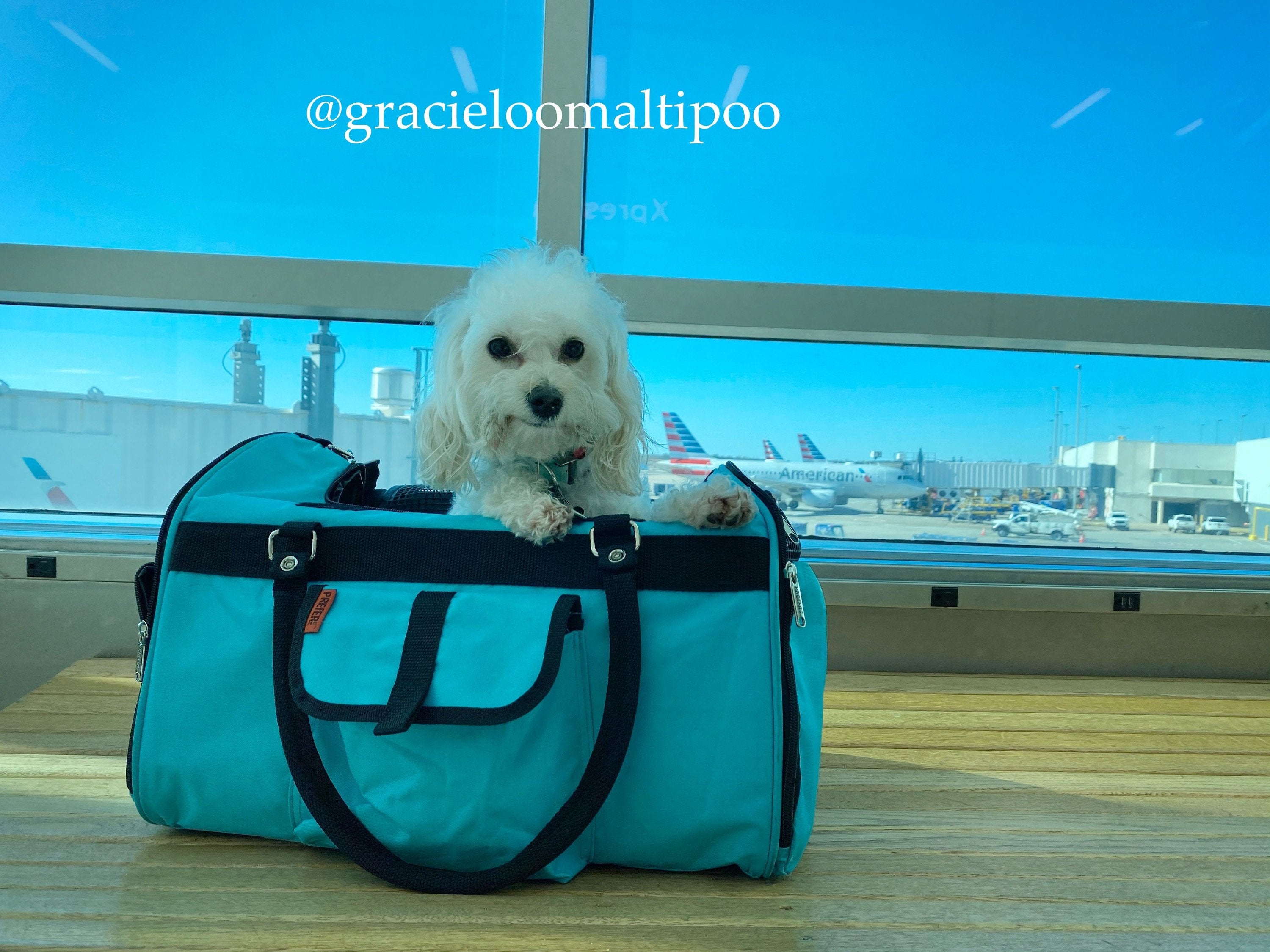 Pink Coconut 312 Hideaway™ Duffel pet carrier with mesh windows and shoulder strap, suitable for small pets like Gracie Lou.