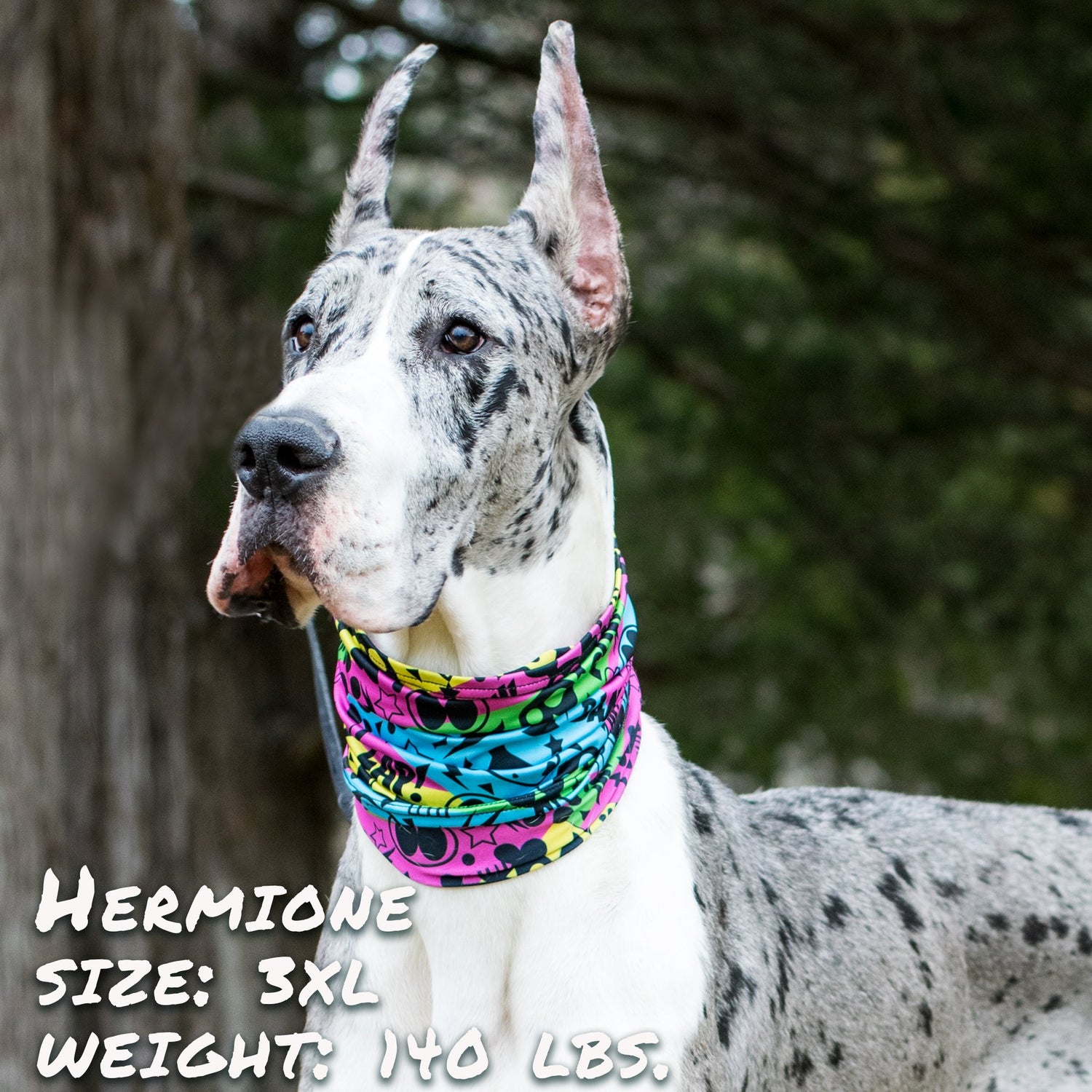 Colorful graffiti-style pup scruff leash from Sky Blue Prometheus, featuring bold patterns and durable petwear design.