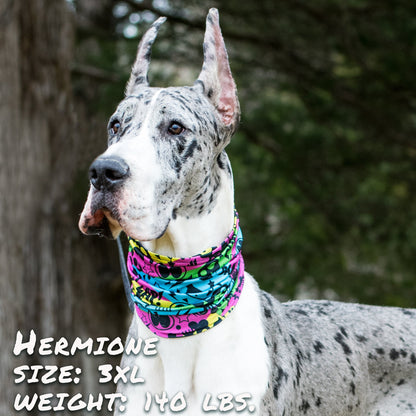 Colorful graffiti-style pup scruff leash from Sky Blue Prometheus, featuring bold patterns and durable petwear design.