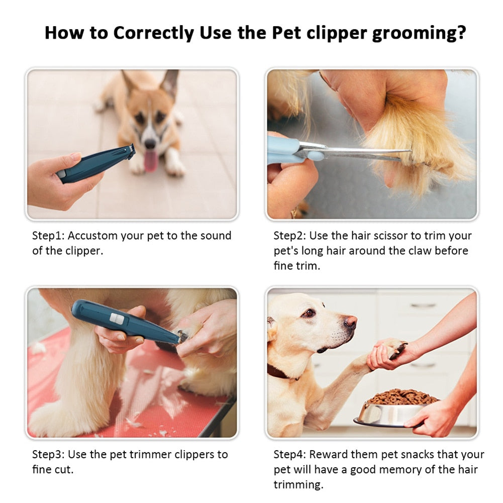 Maroon Asteria professional pet dog hair trimmer and grooming clipper for animal grooming and grooming care.