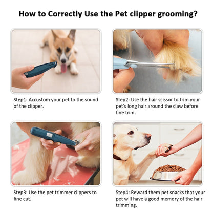 Maroon Asteria professional pet dog hair trimmer and grooming clipper for animal grooming and grooming care.