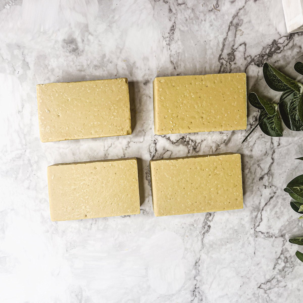Cerise Thalassa Banana Coconut Scrub for bodycare, showing the creamy scrub with banana and coconut ingredients.