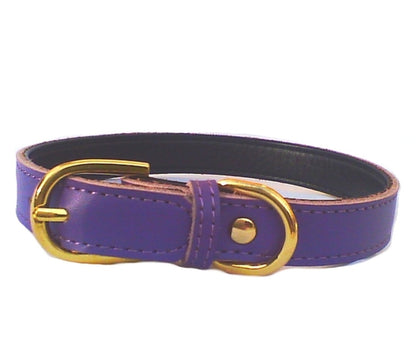 Salmon Oscar plain Chelsea dog collar in four sizes, 8-16 inches, made of durable material, designed for pets.