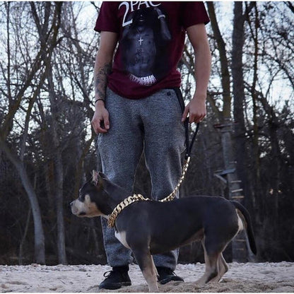 Almandine Kilo Cuban Link pet leash with durable chain design, black color, and sturdy clasp for secure walking.