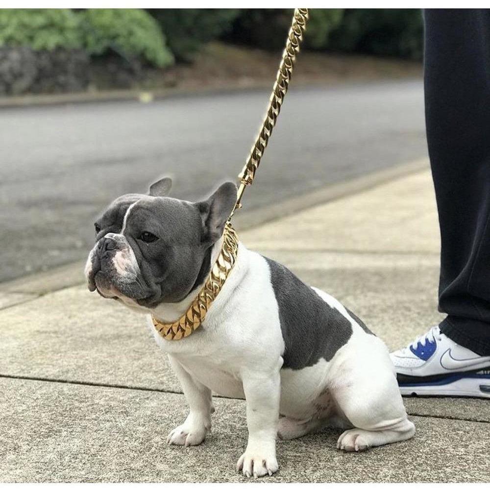 Almandine Kilo Cuban Link pet leash with sturdy metal chain and leather handle for durable dog walking accessory.