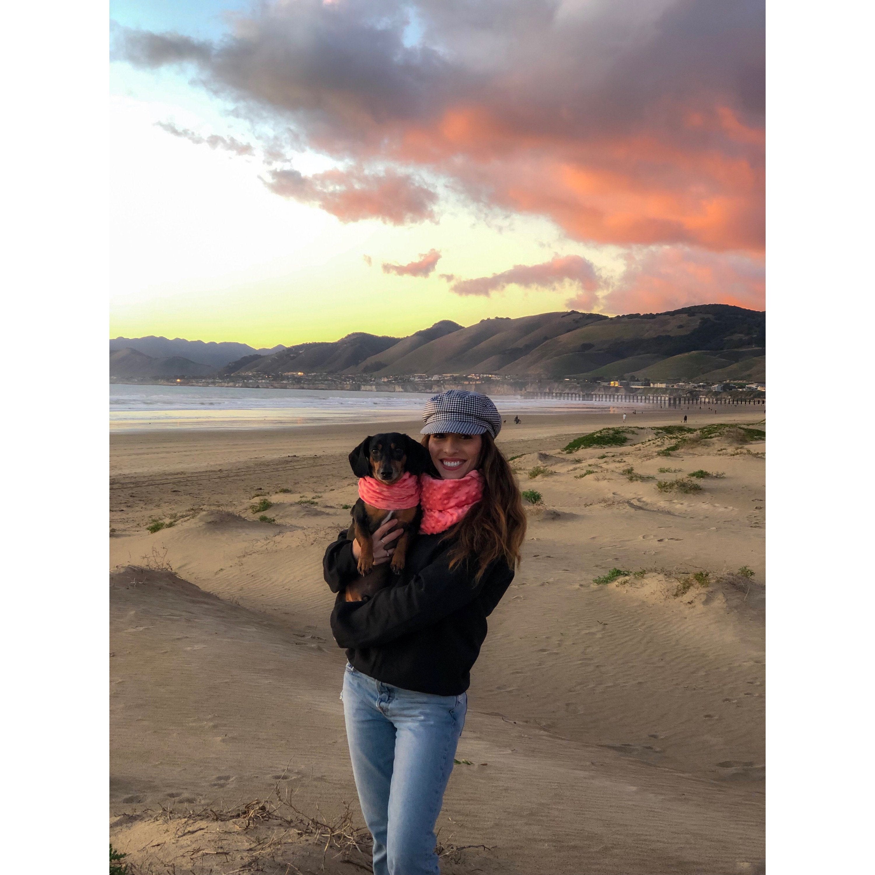 Scarlet Gaia Hubba Hubba pet scarf with colorful floral pattern, soft fabric, designed for stylish and comfortable pet wear.