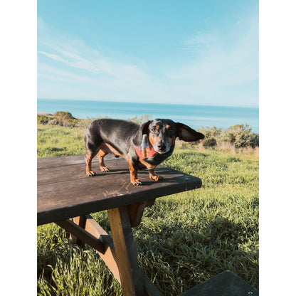 Scarlet Gaia Sequoia dog scarf with green and brown leaf pattern, soft pet accessory for stylish outdoor walks.