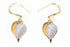 Silver Hestia conch shell earrings featuring natural, polished conch shells with silver hooks for a boho-inspired jewelry look.