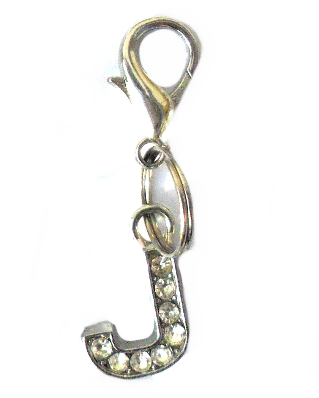 Salmon Oscar A-Z Crystal Pet Letter Charm attached to a colorful pet collar for dogs or cats.