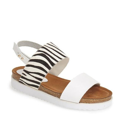 Azure Ophion JOLLEEN zebrafish patterned footwear with a sleek design and vibrant zebra print.