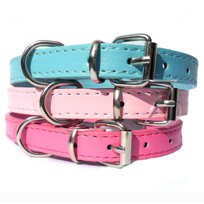 Salmon Oscar Kensington plain dog collar in various sizes, made of durable material, designed for pets and outdoor use