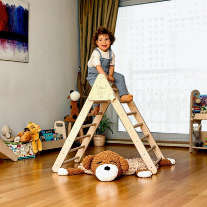 Red Oceanus climbing triangle with ladder ramp for kids&