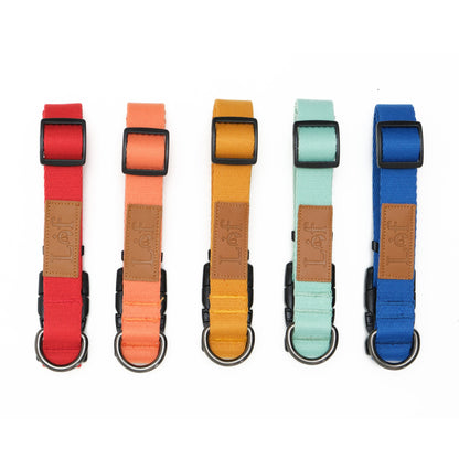 Emerald Alfie Lof pet collar with adjustable strap and stylish design, suitable for cats and small dogs.