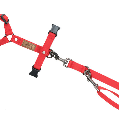 Emerald Alfie Lof folding lead leash for pets, compact and portable with adjustable length and sturdy handle, ideal for outdoor walks.
