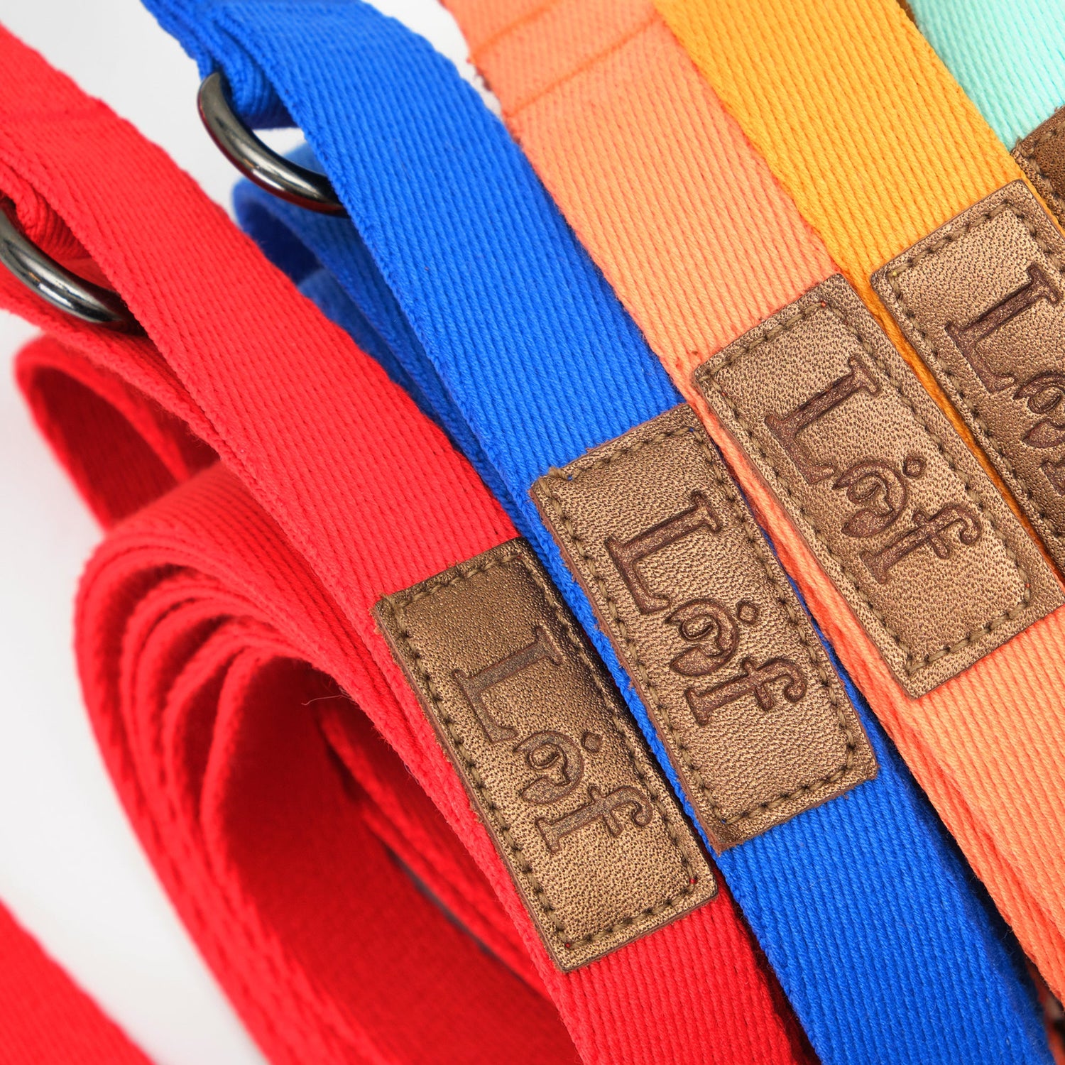 Emerald Alfie Lof Folding Lead Leash for pets, compact and portable with a folding design, ideal for walks and outdoor activities.