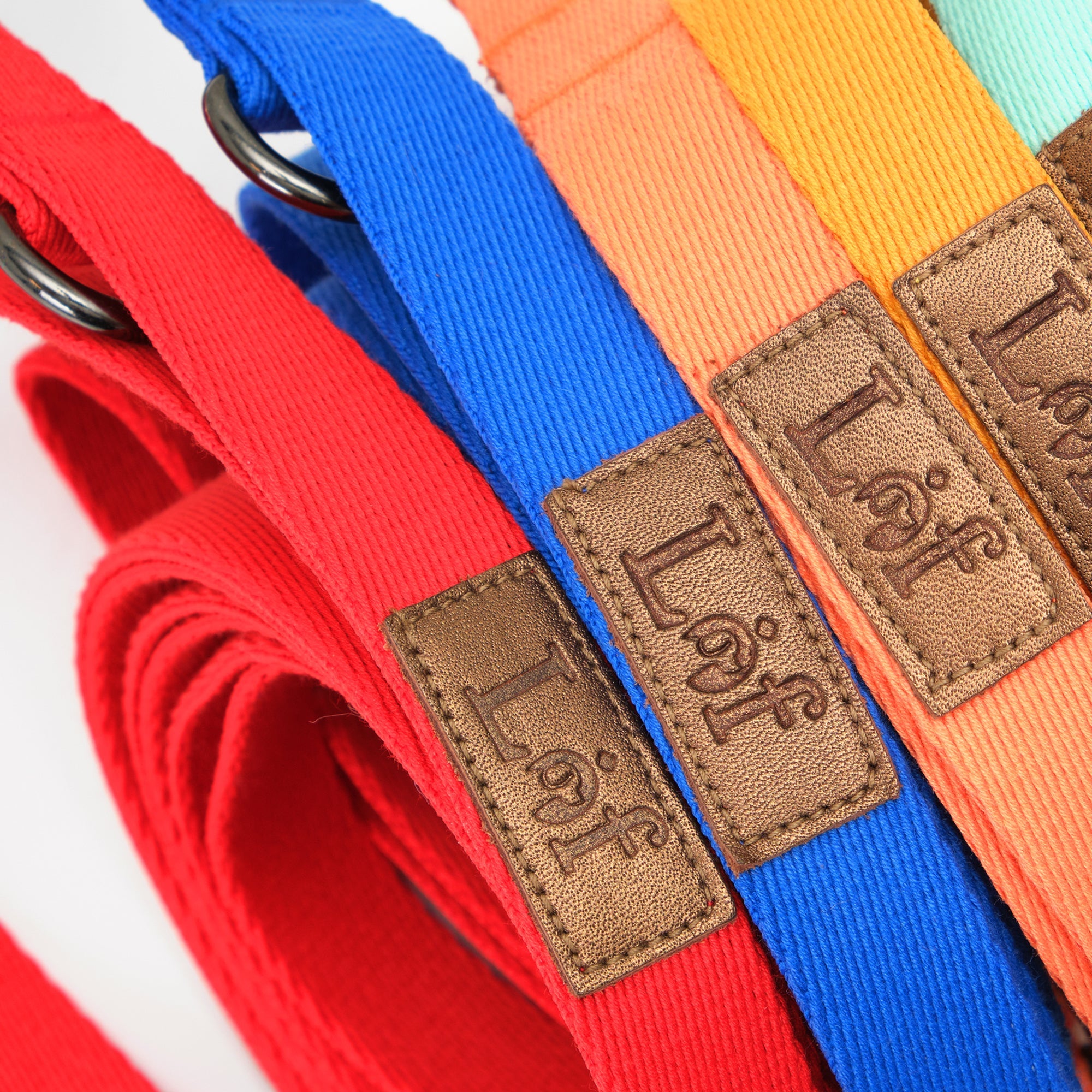 Emerald Alfie Lof Folding Lead Leash for pets, compact and portable with a folding design, ideal for walks and outdoor activities.
