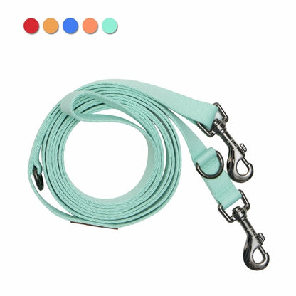 Emerald Alfie Lof Folding Lead Leash in L-MINT color, pet walking leash with compact folding design for easy travel.