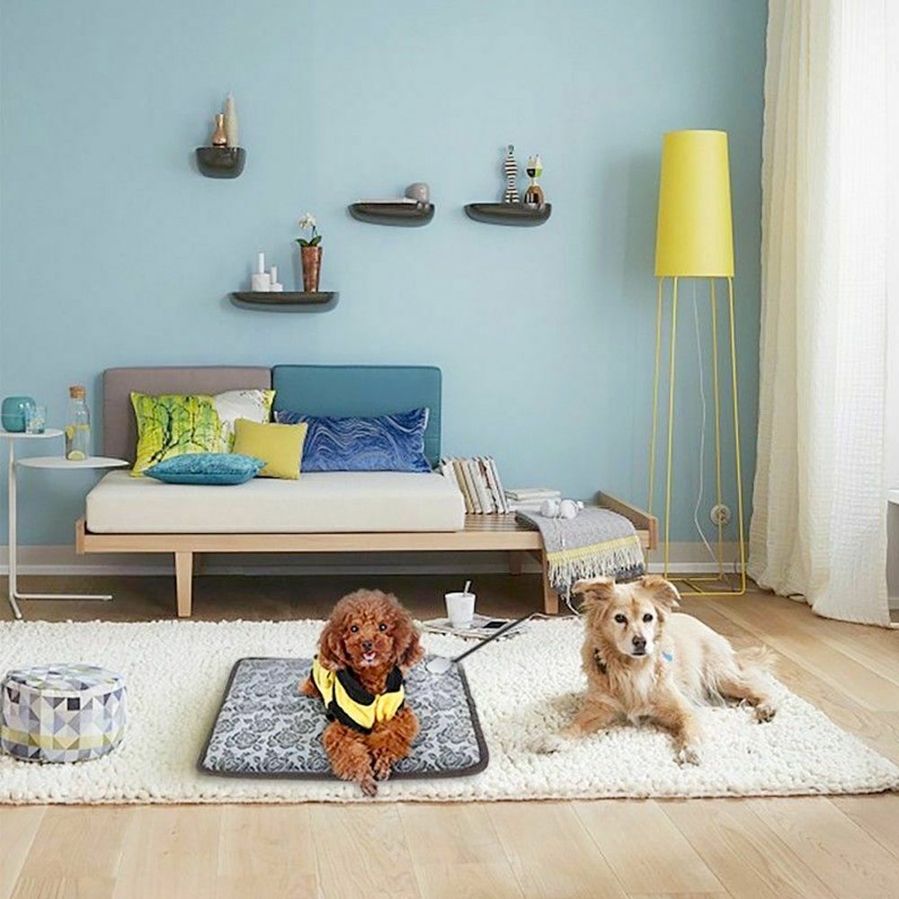 Yellow Pandora waterproof pet bed pad with thermal heating and adjustable features, designed for cozy comfort.