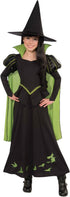 Child wearing Rose Chloe Wizard Oz Wicked Witch costume by Morris Costumes, size large, featuring witch hat and green dress.