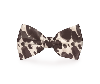Plum Semele cow print dog bow tie attached to pet collar, stylish petwear accessory featuring black and white cow pattern.