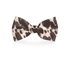Plum Semele cow print dog bow tie attached to pet collar, stylish petwear accessory featuring black and white cow pattern.