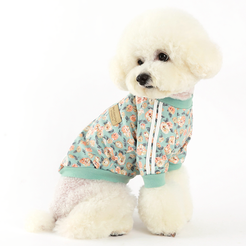 Emerald Alfie Nancy Track Top Mint for pets, lightweight mint-colored pet clothing with breathable fabric and sporty design.