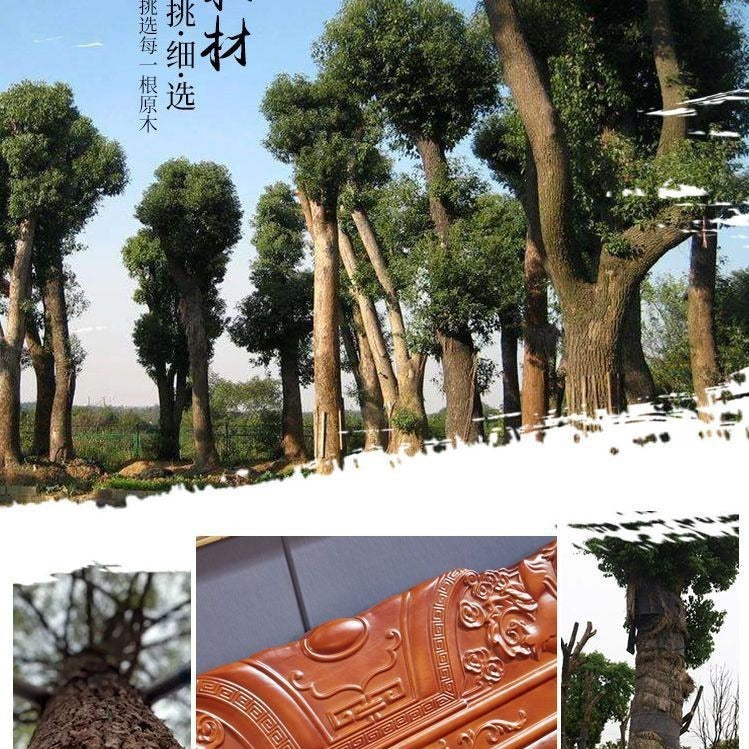 All-solid wood sofa combination, classical Chinese style antique carved economical rural red toon wood sofa for winter and summer use