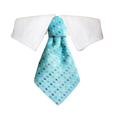 Lime Aeneas Adrian Pet Shirt Collar, adjustable for small dogs or cats, with a stylish design and secure buckle closure.