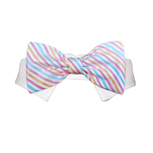 Pets Morgan bow tie by Lime Aeneas, featuring a stylish and colorful accessory for pets, shown on a pet wearing the bow tie.
