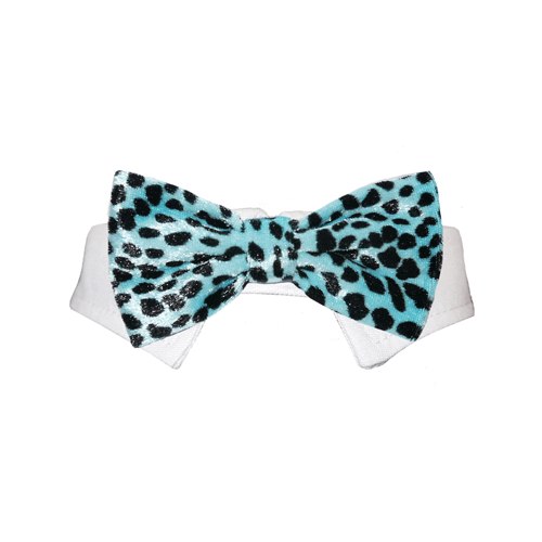 Lime Aeneas Roberto Aqua bow tie for pets, featuring a stylish aqua-colored fabric, perfect for dressing up your pet.