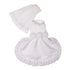 Lime Aeneas Vera wedding dress for pets, elegant pet attire with lace details, displayed on a small dog model.