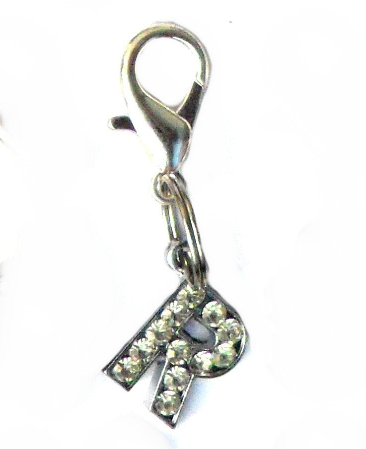 Salmon Oscar A-Z crystal letter pet charm attached to a leash or collar, featuring sparkling crystal letters for personalized pet accessories.