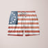 Sky Felix patriotic flag shorts T-shirt with bold red, white, and blue flag design on soft cotton fabric.