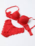 Red lace half cup bra set for women featuring intricate lace details and supportive design by Harlequin Icarus.