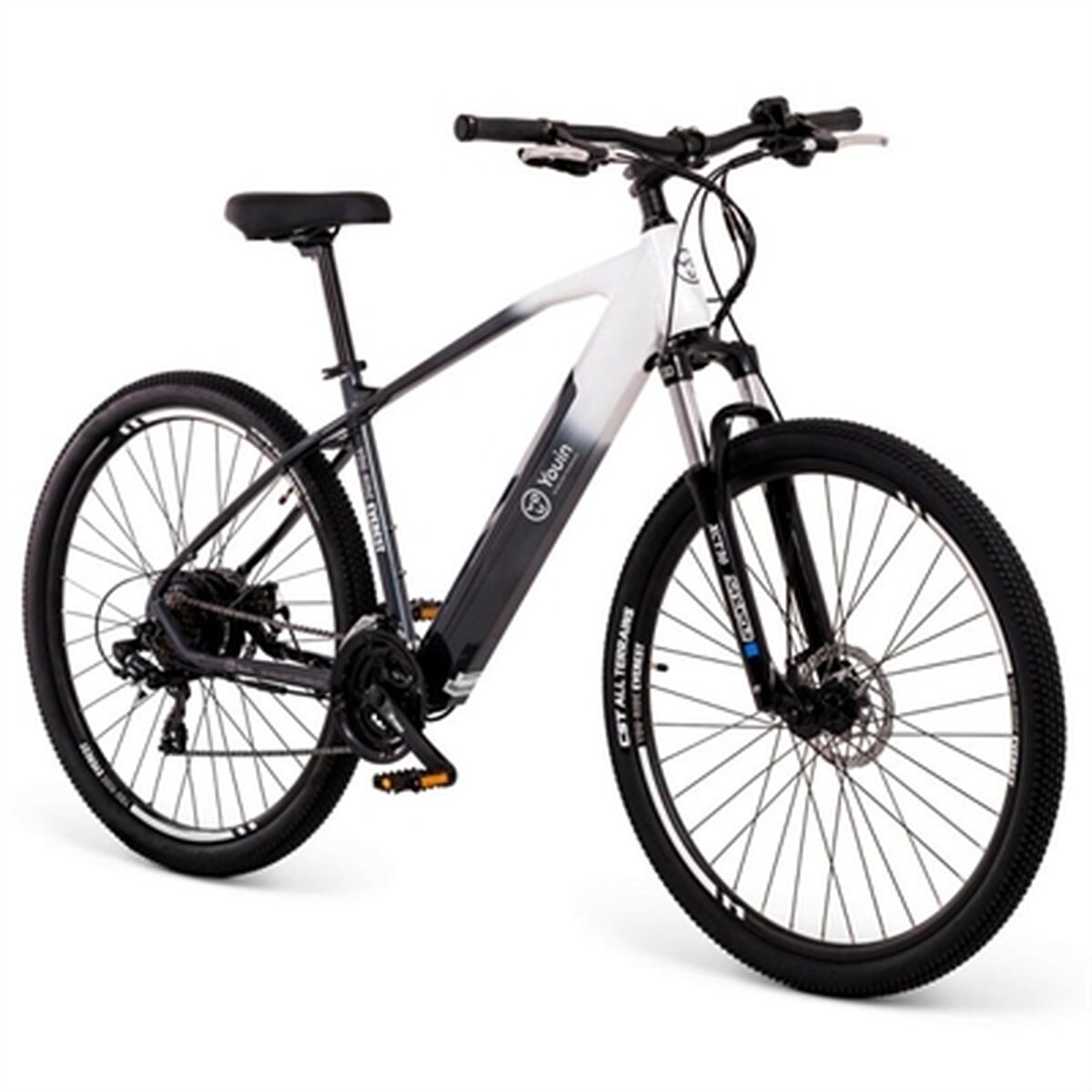 Electric bike Youin Everest with 14000mAh battery, 29-inch wheels, and 250W motor, shown outdoors in a sports and outdoor setting.