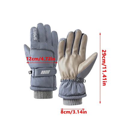 Maroon Asteria men&