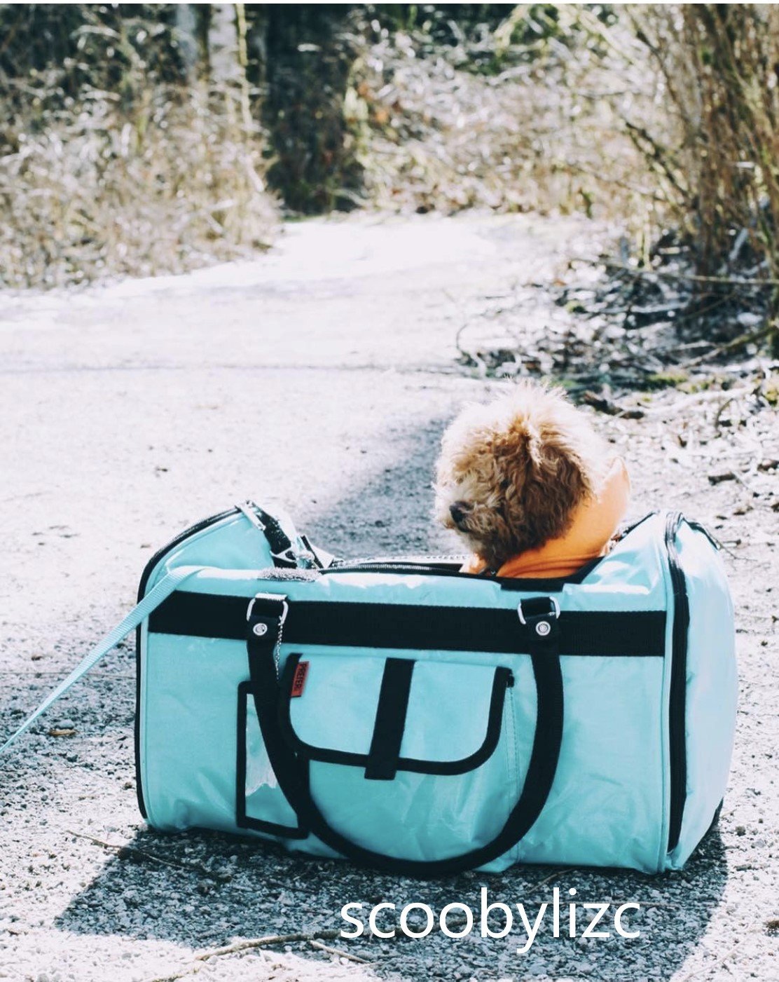 Pink Coconut 312 Hideaway™ Duffel pet carrier with mesh sides and padded handles, designed for comfortable pet travel.