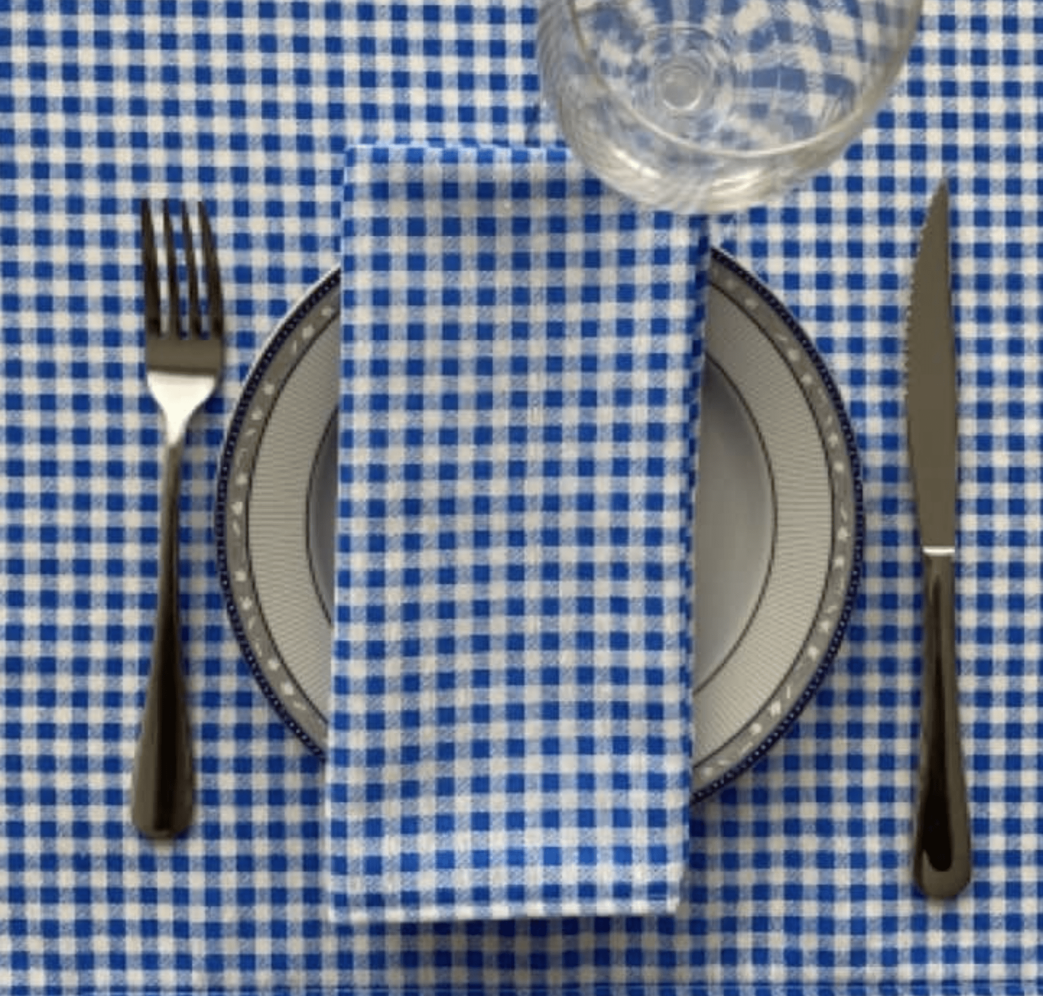Blue Vichy patterned paper napkin from Sky Gaia, perfect for home decor and table setting.
