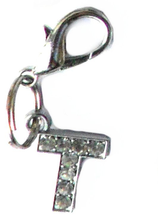 Salmon Oscar A-Z crystal letter pet charm attached to a colorful pet leash, featuring sparkling crystal letters for customization.