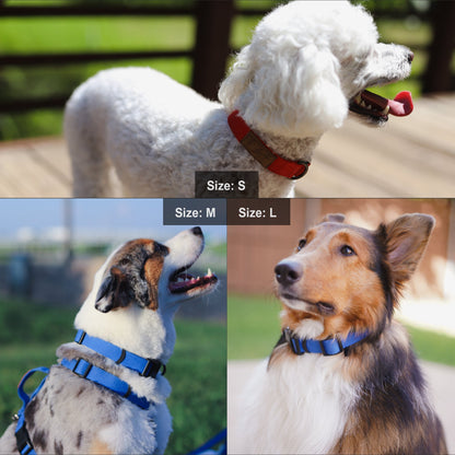 Emerald Alfie pet Lof collar with adjustable strap, featuring a stylish design suitable for cats and dogs.