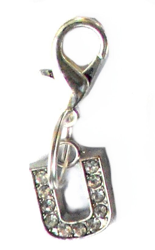 Salmon Oscar A-Z crystal letter pet charm attached to a leash or collar for dogs or cats, sparkling and decorative pet accessory.