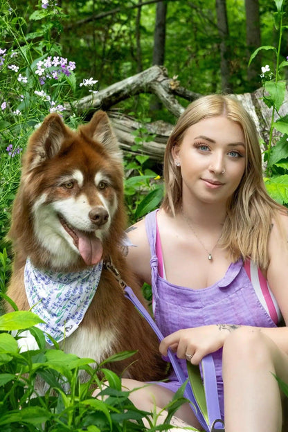 Pet wearing Burgundy Perses Ube Sorbet Romper, a comfortable and stylish pet clothing made for pets.